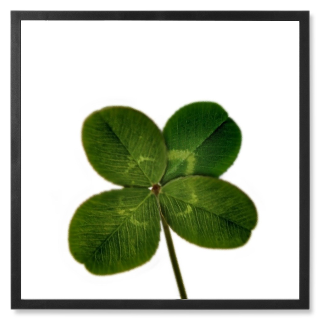 Four Leaf Clover - Green Photo Tile, Black, Framed, 8x8, Green, Classic Green