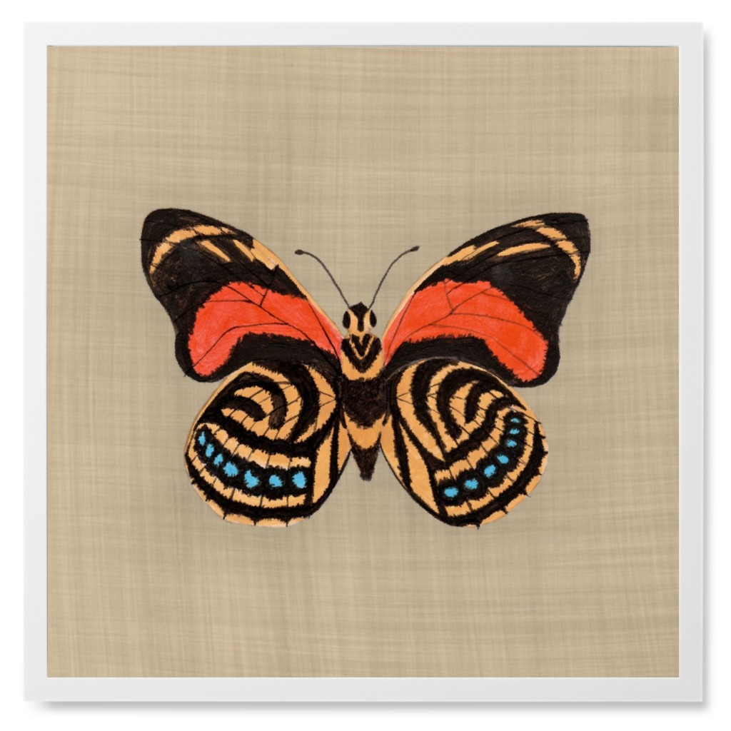 Butterfly Curio - Orange and Beige Photo Tile, White, Framed, 8x8, Beige