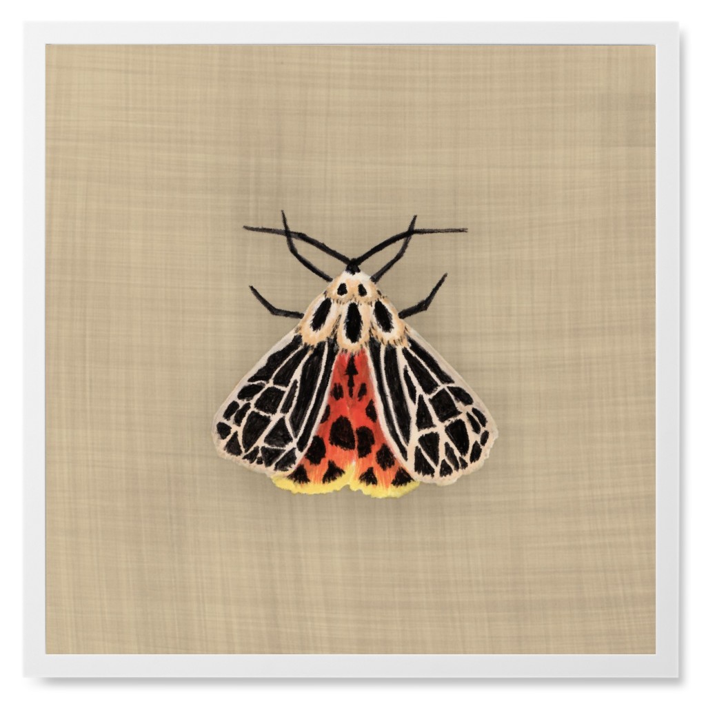 Curio Moth - Beige Photo Tile, White, Framed, 8x8, Beige