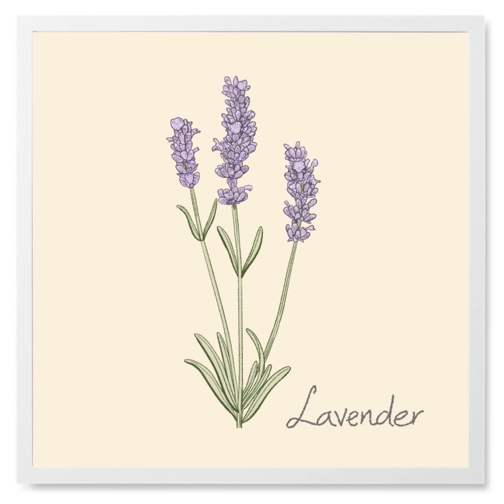Lavender - Neutral Photo Tile, White, Framed, 8x8, Beige