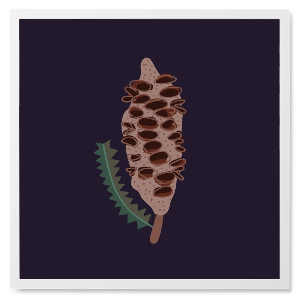 Banksia Seedpod - Black Photo Tile, White, Framed, 8x8, Black, Black