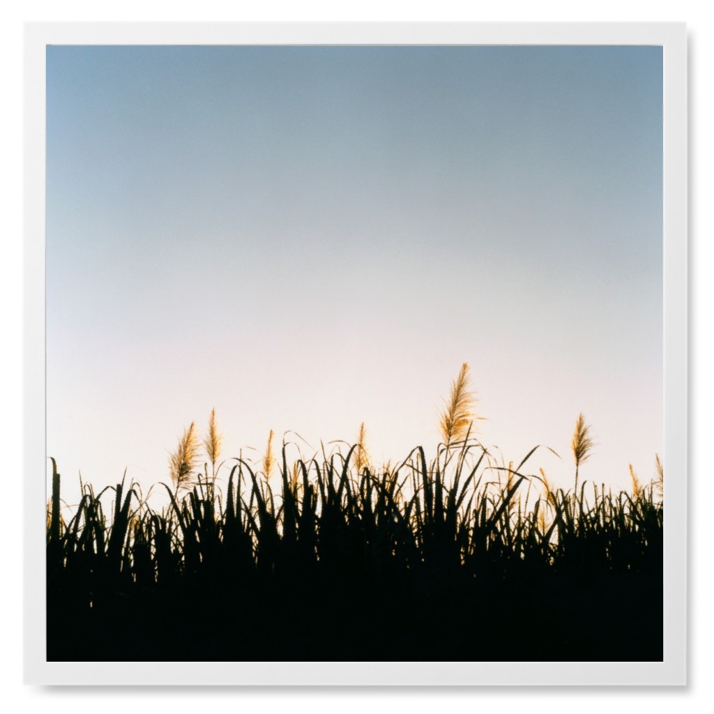 Grass Field Photo Tile, White, Framed, 8x8, Multicolor