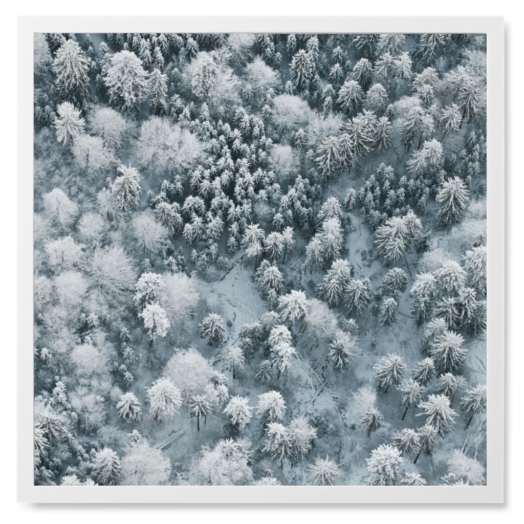 Snow Covered Trees Photo Tile, White, Framed, 8x8, Gray