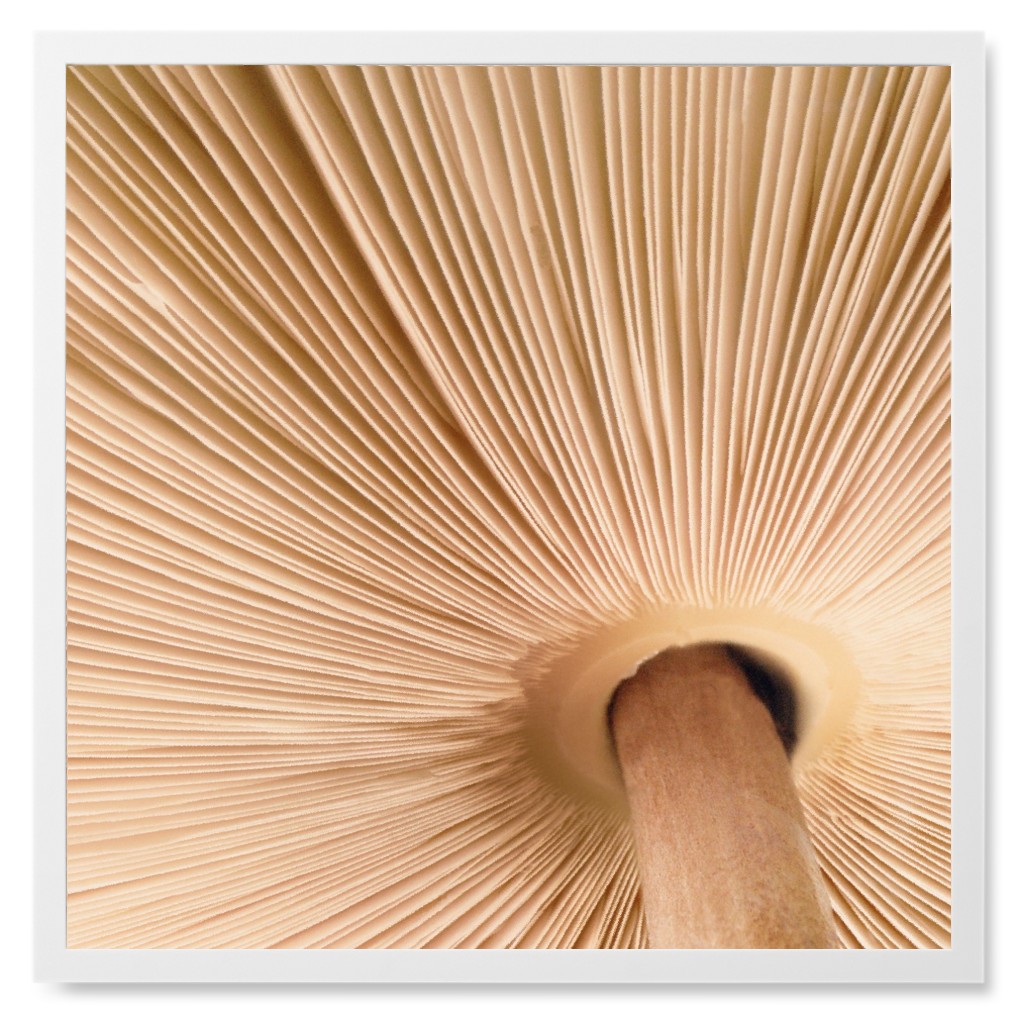 Micro Mushroom Photo Tile, White, Framed, 8x8, Beige, Pearl