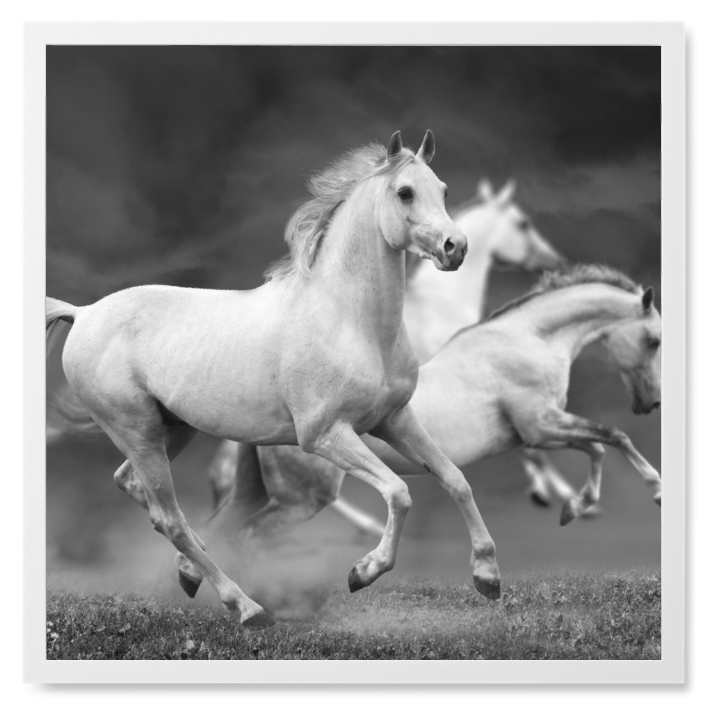 Running Horses - Black and White Photo Tile, White, Framed, 8x8, Gray