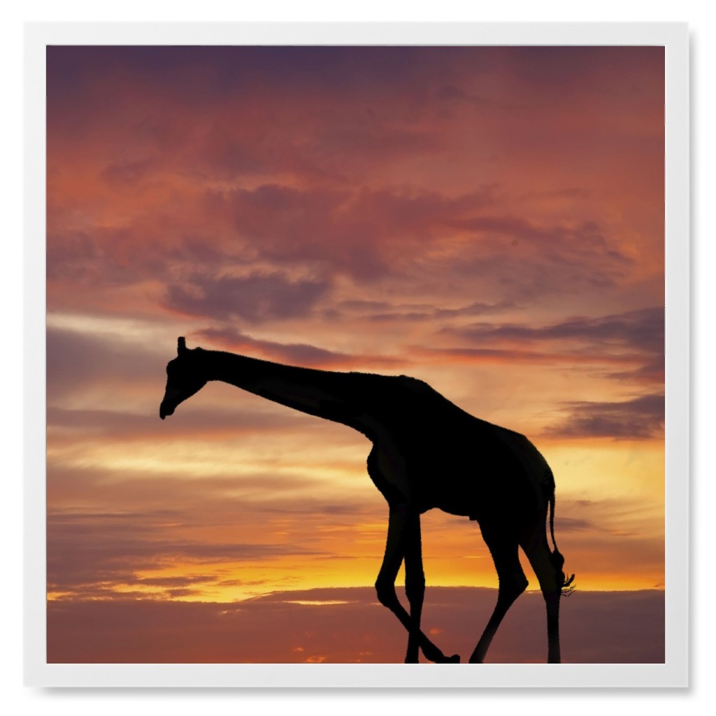 Giraffe in Saharan Sky Photo Tile, White, Framed, 8x8, Multicolor