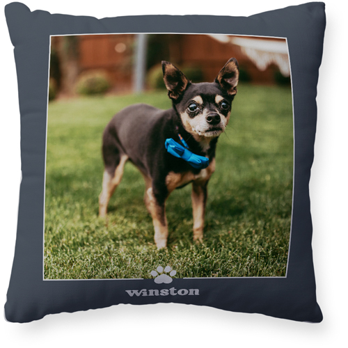 Paw Border Pillow, Woven, White, 20x20, Double Sided, Gray, gray