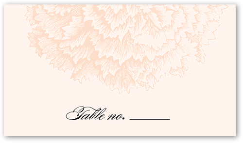 Grandeur Affair Wedding Place Card, Beige, Placecard, Matte, Signature Smooth Cardstock