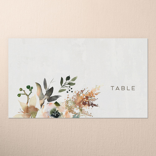 Painted Promise Wedding Place Card, Beige, Placecard, Matte, Signature Smooth Cardstock, Pueblo