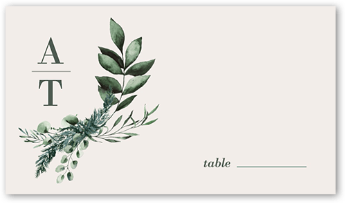 Rehearsal Bough Wedding Place Card, White, Placecard, Matte, Signature Smooth Cardstock, White