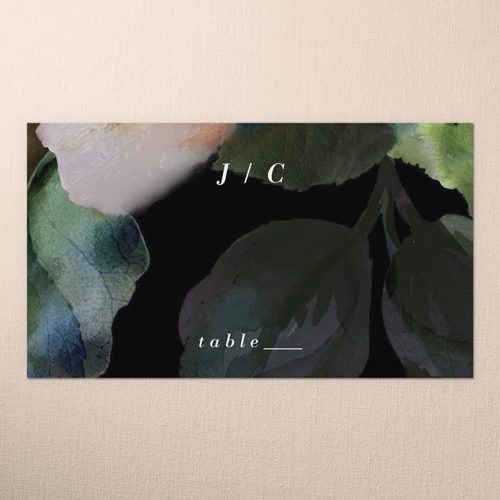 Modern Style Wedding Place Card, White, Placecard, Matte, Signature Smooth Cardstock, White