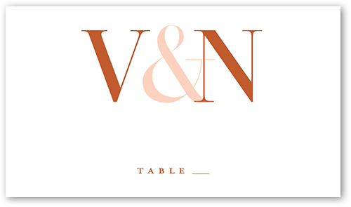 Timeless Toast Wedding Place Card, White, Placecard, Matte, Signature Smooth Cardstock, White