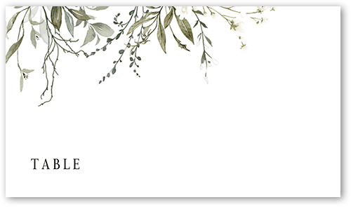Table Setting Cards