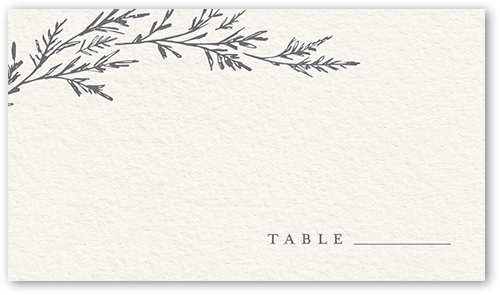Spectacular Spruce Wedding Place Card, Beige, Placecard, Matte, Signature Smooth Cardstock