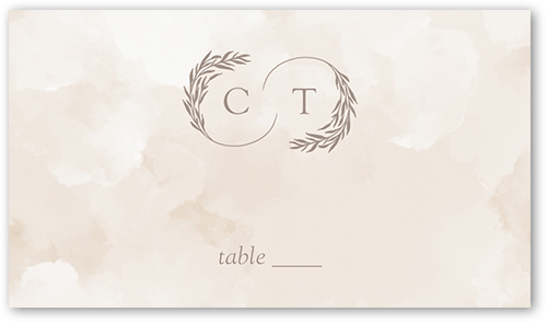 Reflective Rings Wedding Place Card, Beige, Placecard, Matte, Signature Smooth Cardstock