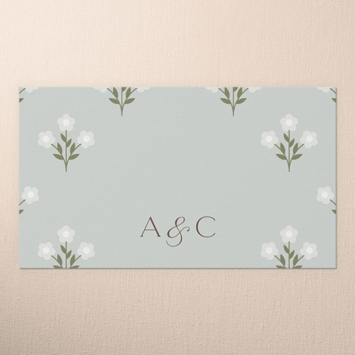 Sunlit Stripes Wedding Place Card, Blue, Placecard, Matte, Signature Smooth Cardstock, Blue