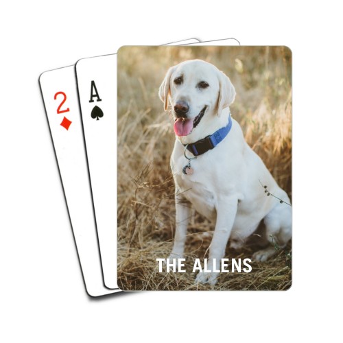 Photo Gallery Pet Playing Cards, Multicolor