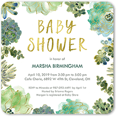 splendid succulents baby shower invitation