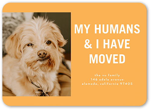 My Humans Moving Announcement, Orange, 5x7 Flat, Write Your Own, Matte, Signature Smooth Cardstock, Rounded