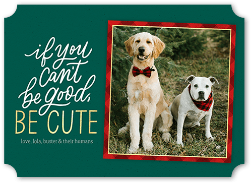 Framed Cute Holiday Card, Green, 5x7, Holiday, Matte, Signature Smooth Cardstock, Ticket