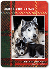 textured plaid holiday card