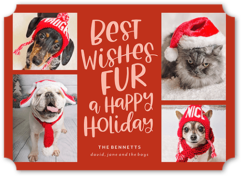 Festive Furry Fun Holiday Card, Red, 5x7 Flat, Holiday, Pearl Shimmer Cardstock, Ticket