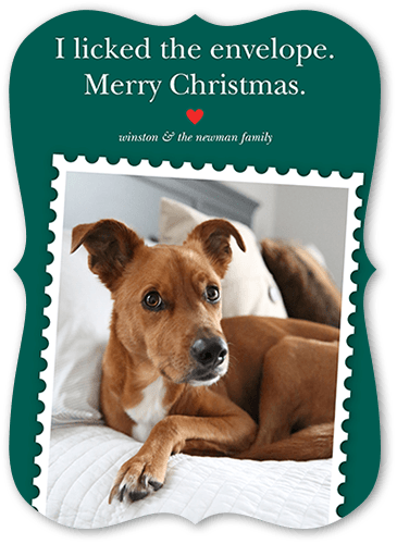 Festive Pet Stamp Holiday Card, Green, 5x7 Flat, Christmas, Pearl Shimmer Cardstock, Bracket