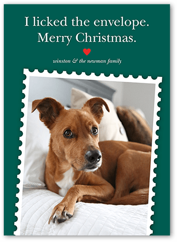 Festive Pet Stamp Holiday Card, Green, 5x7, Christmas, Matte, Signature Smooth Cardstock, Square