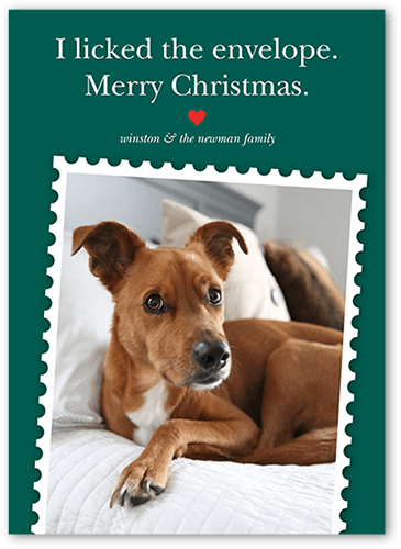 Festive Pet Stamp Holiday Card, Green, 5x7 Flat, Write Your Own, Pearl Shimmer Cardstock, Square