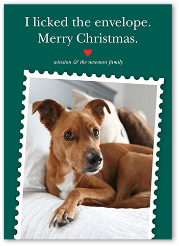 Festive Pet Stamp Holiday Card, Green, 5x7 Flat, Christmas, Pearl Shimmer Cardstock, Square