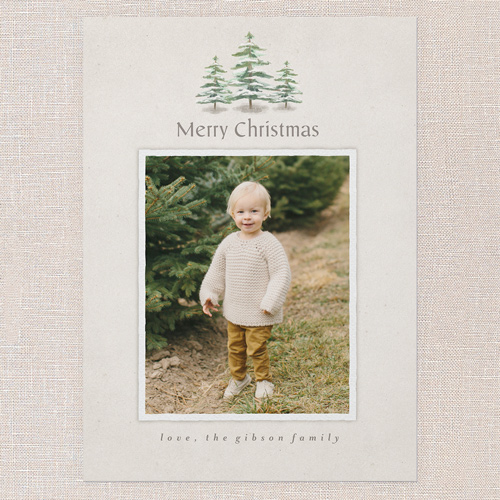 Snowcapped Trees Holiday Card, White, 5x7 Flat, Christmas, Standard Smooth Cardstock, Square