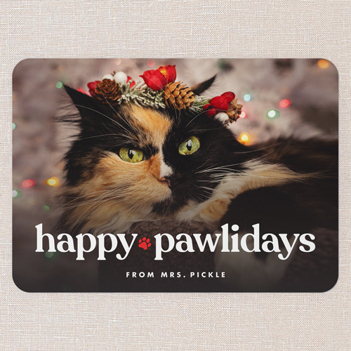 Paw Punctuation Holiday Card, White, 5x7 Flat, Holiday, Standard Smooth Cardstock, Rounded, White