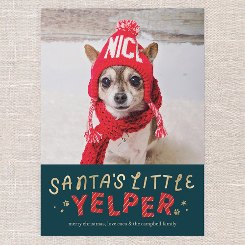 Yelper Cheer Holiday Card, Green, 5x7 Flat, Christmas, Pearl Shimmer Cardstock, Square, Pine Grove