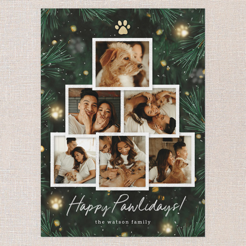 Pine Paws Holiday Card, Green, 5x7 Flat, Holiday, Pearl Shimmer Cardstock, Square, Spruce Green