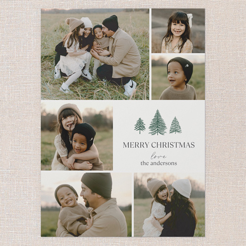 Timeless Pines Holiday Card, White, 5x7 Flat, Christmas, 100% Recycled Cardstock , Square, White