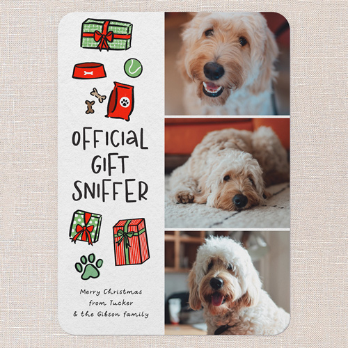 Gift Sniffer Greetings Holiday Card, White, 5x7 Flat, Christmas, 100% Recycled Cardstock , Rounded, White