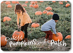 Cutest Pumpkins