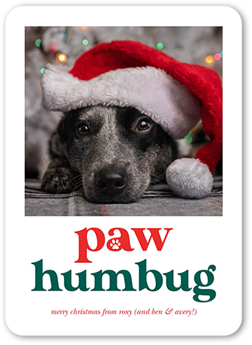 Paw Humbug Christmas Card, White, 5x7 Flat, Christmas, Pearl Shimmer Cardstock, Rounded, White
