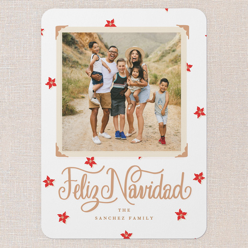 Festive Poinsettia Tarjeta de Navidad, White, 5x7 Flat, Feliz Navidad, Standard Smooth Cardstock, Rounded, White