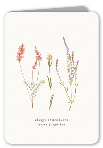 Beloved Blossoms Sympathy Card, Grey, 5x7 Folded, Write Your Own Greeting, Matte, Folded Smooth Cardstock, Rounded