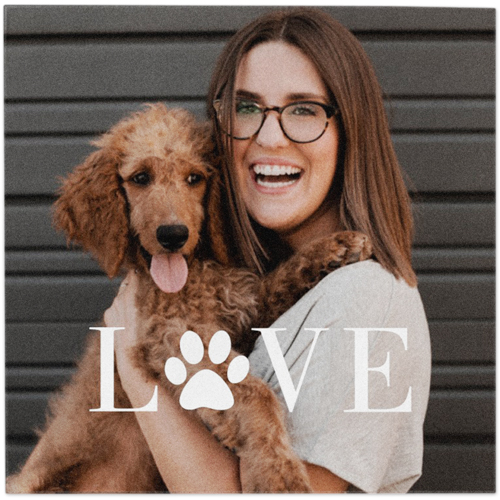 Fur Baby Love Removable Stickers, white