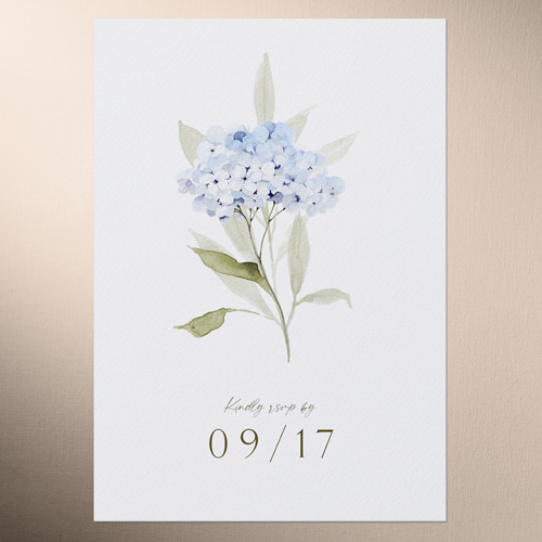 Hydrangea Highlight Wedding Response Card, Blue, Matte, Signature Smooth Cardstock, Square, Blue