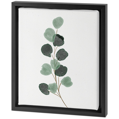 Watercolor Botanical Tabletop Framed Canvas Print, 8x10, Black, Tabletop Framed Canvas Prints, Multicolor