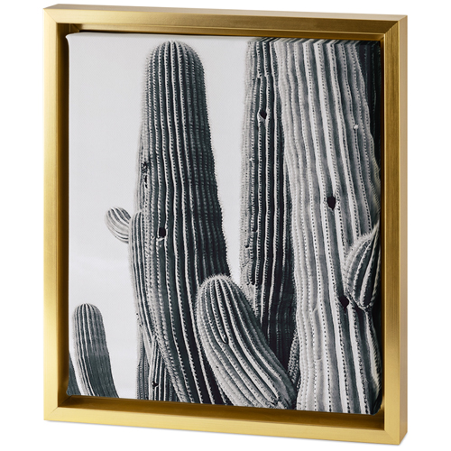 Vintage Cacti Tabletop Framed Canvas Print, 8x10, Gold, Tabletop Framed Canvas Prints, Multicolor