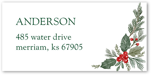 Cute Holly Frame Address Label by Lady Jae Designs | Tiny Prints
