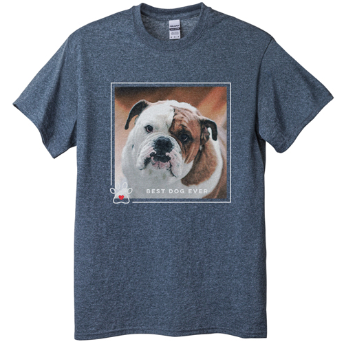 Best In Show Best Dog Ever T-shirt, Adult (XL), Gray, Customizable front & back, Brown