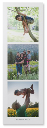 Three of a Kind Portrait Wall Art, No Frame, Single piece, Mounted, 12x36, Multicolor, multi