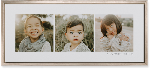 Three Of A Kind Wall Art, Metallic, Single piece, Mounted, 10x24, Multicolor