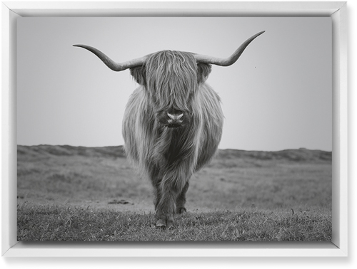 Highland Cattle Wall Art, White, Single piece, Mounted, 10x14, Multicolor