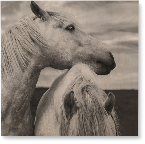 Black and White Horses Wall Art, Single piece, Wood, 16x16, Multicolor